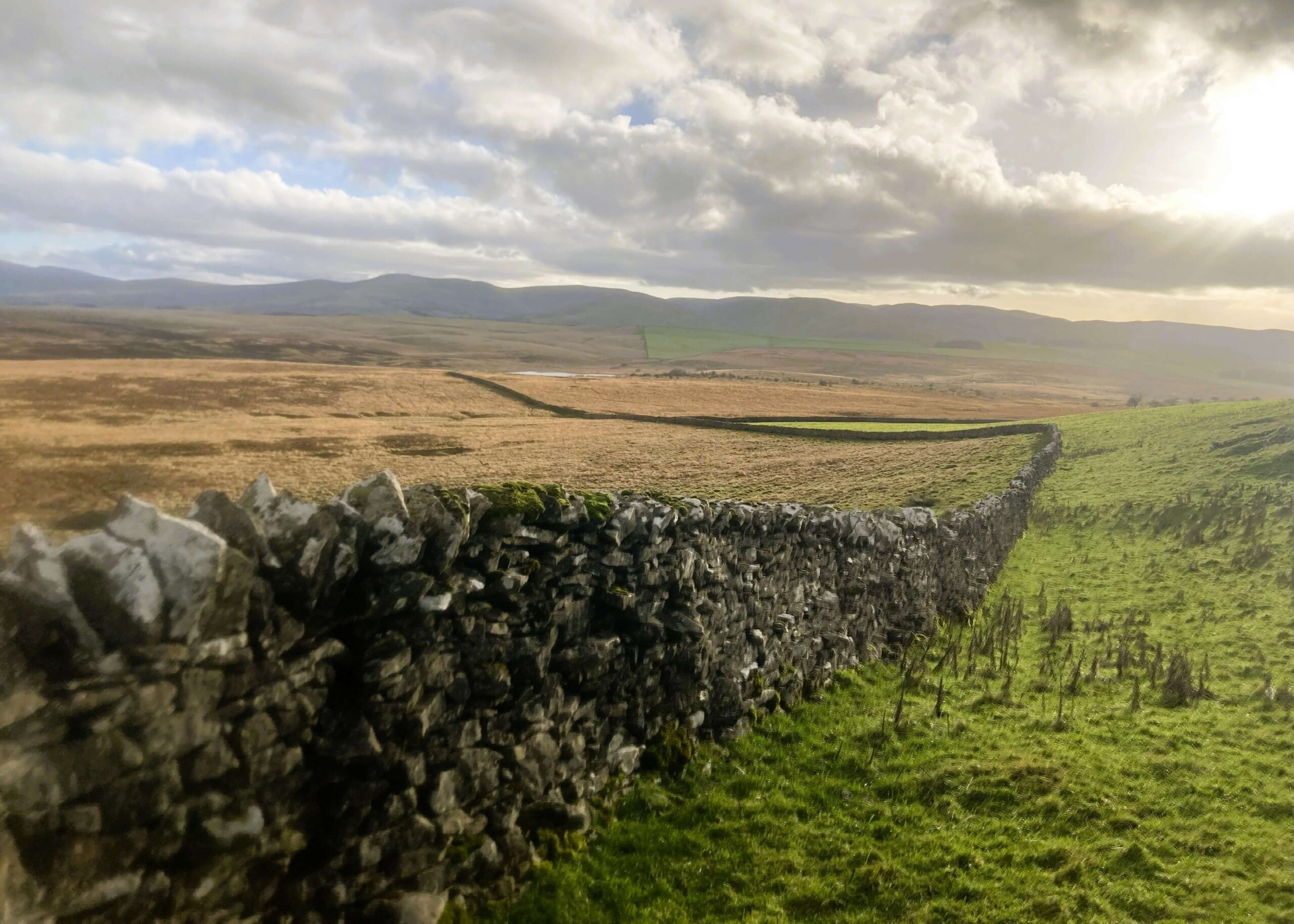 Dry Stone Walls on Little Asby