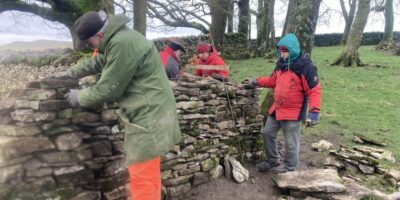 Volunteers dry stone walling at Mazonwath