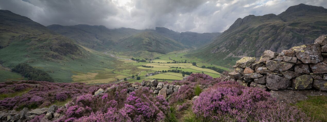 Great Langdale in August