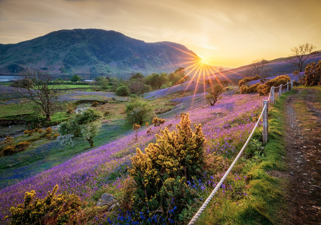 Rannerdale Knotts, Buttermere