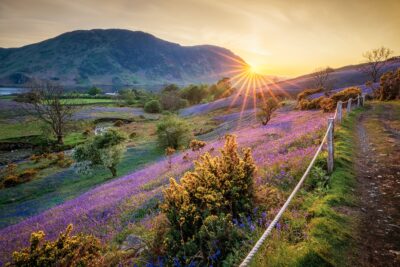 Rannerdale Knotts, Buttermere