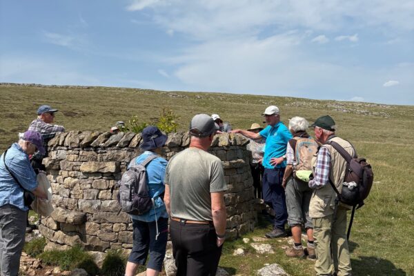 Tree enclosure at Sunbiggin Tarn - guided walk