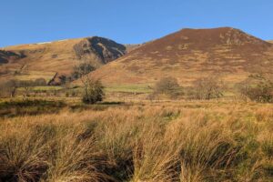 View of Dam Mire Wood