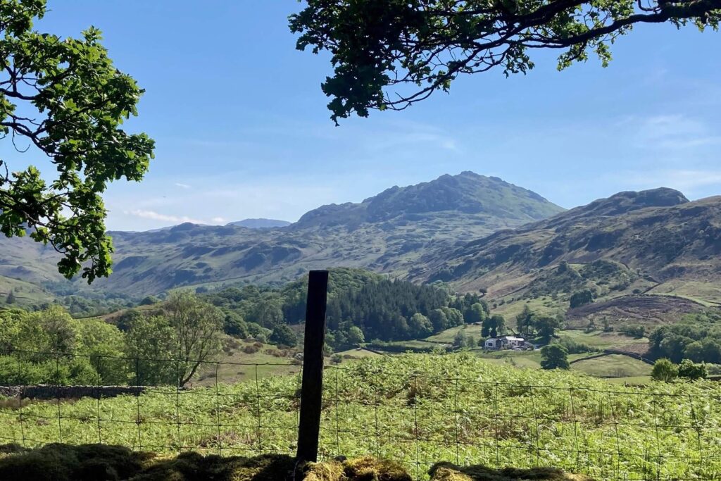 The view up Hardknott from Hows Wood platform. A lovely landscape.
