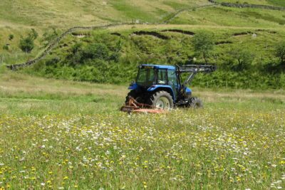 A tractor in a field of flowers
