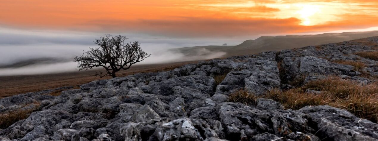 Little Asby Common at sunrise