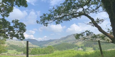 View from Hows wood