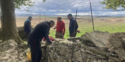 Volunteers working on a dry stone wall, at Mazonwath, Little Asby, Cumbria