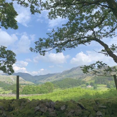 A lovely view from Hows Wood