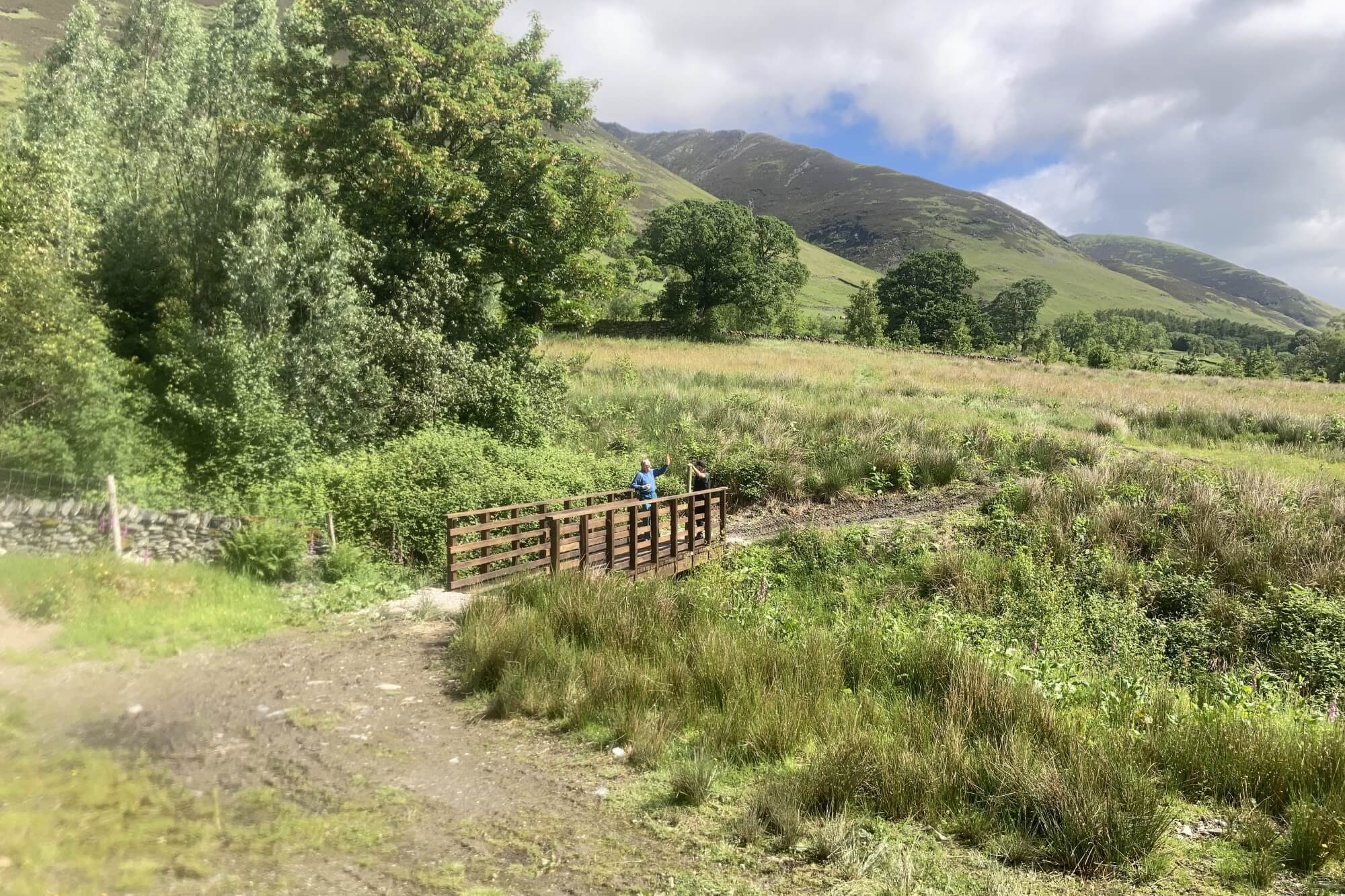 Dam Mire Wood new bridge over kilnhow beck